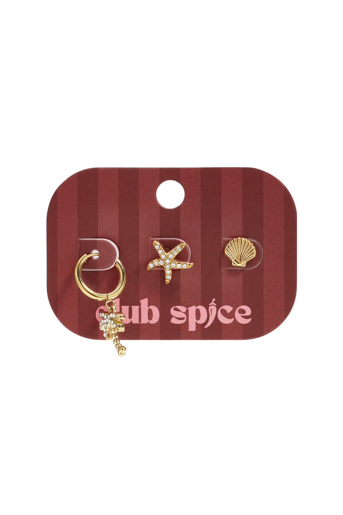 Ohrring-Sets aus Edelstahl, Seestern, schlichte Alltagsserie, Damenschmuck