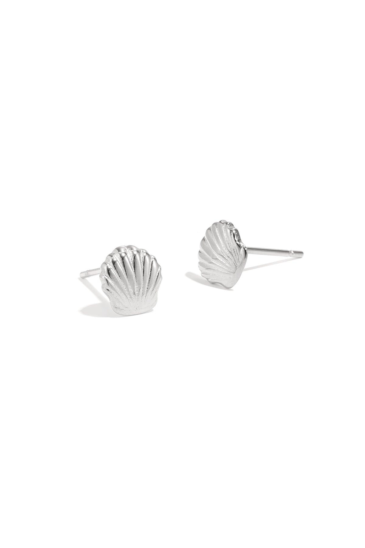 Ohrstecker aus Muscheln