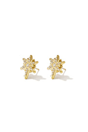 Ohrstecker aus Edelstahl, unregelmäßige Form, lässig-schlichte Serie, Damenschmuck