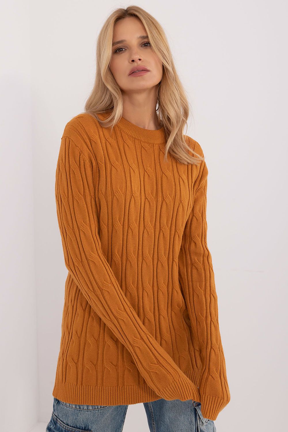  Pullover model 199530 AT 