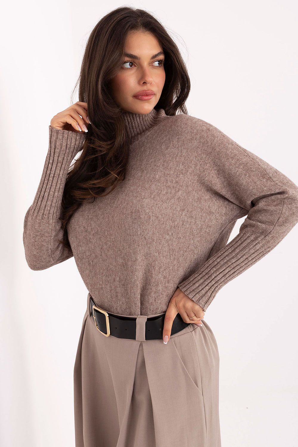  Rollkragenpullover model 219895 Rue Paris 