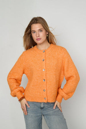 Gestrickte Polyesterfaser Damen-Cardigan Casual Einfarbig Herbst/Winter